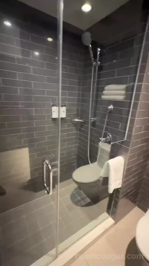Andaz Suite (#529) bathroom picture #7