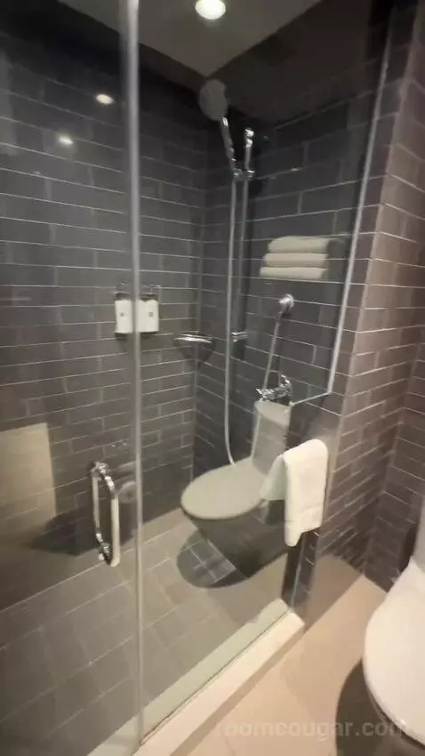 Andaz Suite (#529) bathroom picture #8