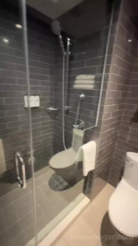 Andaz Suite (#529) bathroom picture #9