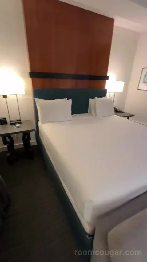 Deluxe King Room (#512) bed picture #6