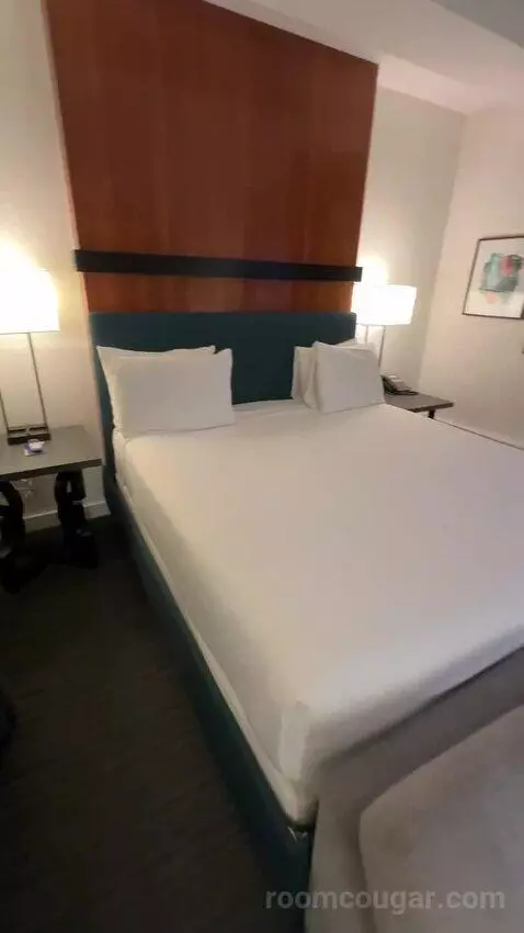 Deluxe King Room (#512) bed picture #7