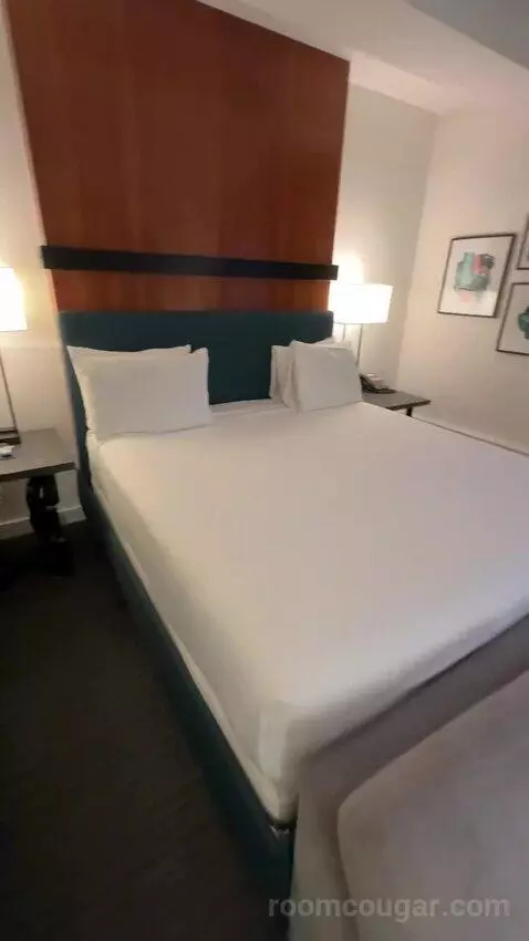 Deluxe King Room (#512) bed picture #8