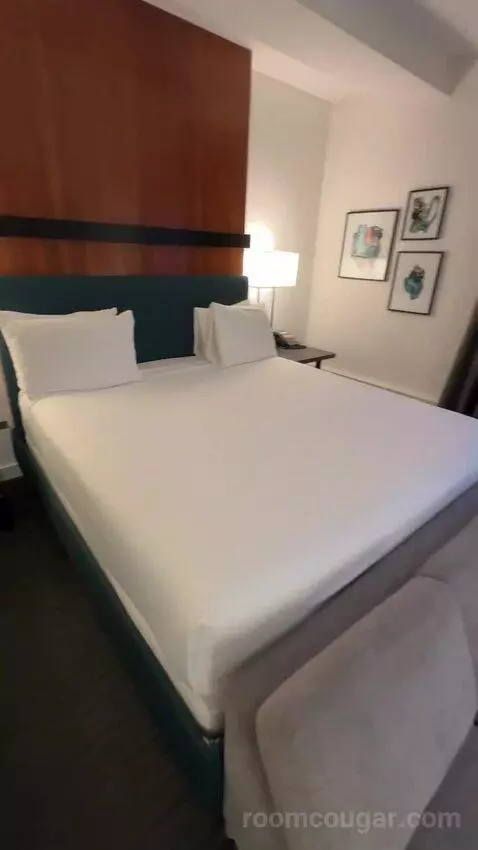 Deluxe King Room (#512) bed picture #10