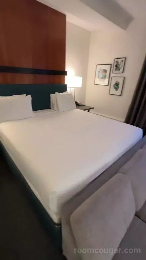 Deluxe King Room (#512) bed picture #11