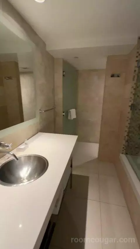 Deluxe King Room (#512) bathroom picture #2
