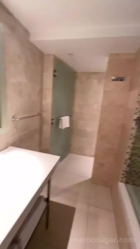 Deluxe King Room (#512) bathroom picture #4