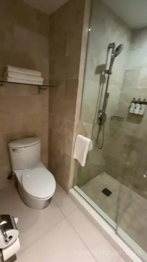 Queen Room (#509) bathroom picture #3