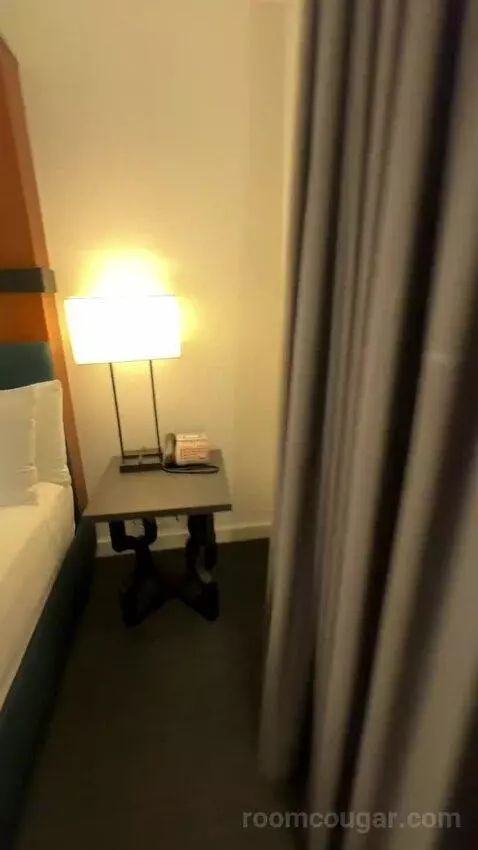 King Room (#506) picture #14