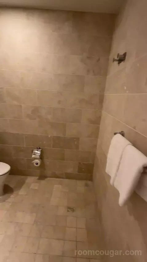 Extra Large Loft bathroom picture #5