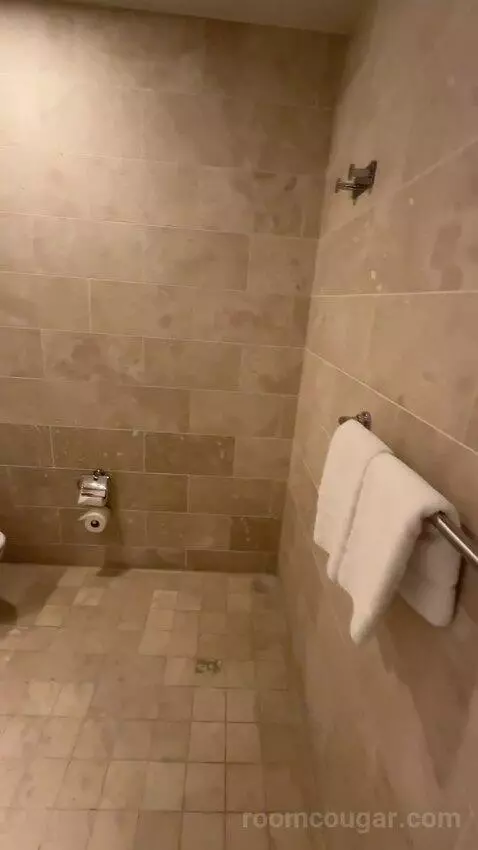 Extra Large Loft bathroom picture #6
