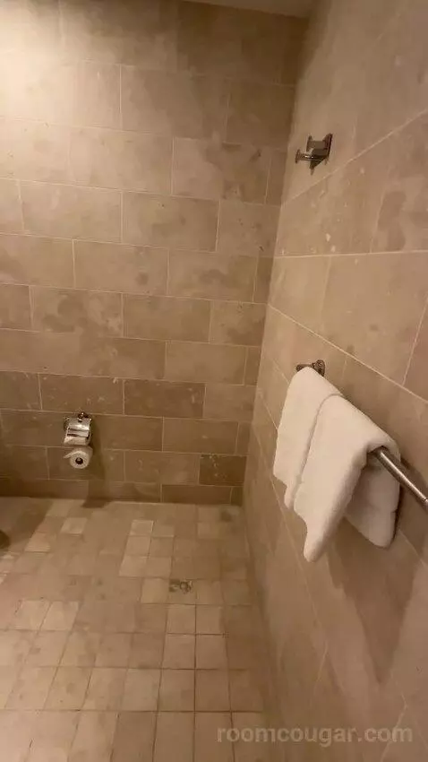 Extra Large Loft bathroom picture #7