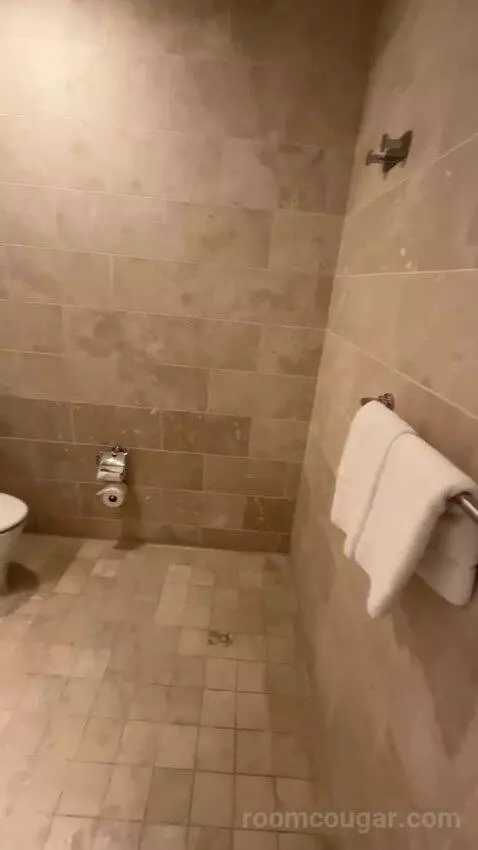 Extra Large Loft bathroom picture #8