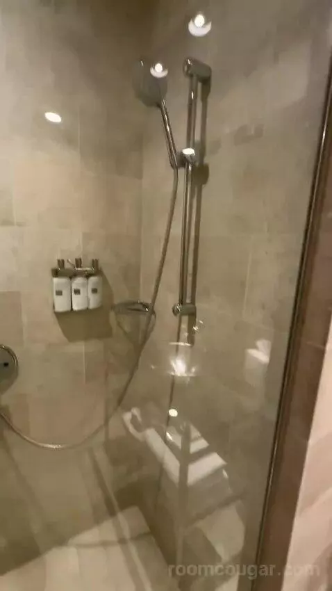 Extra Large Loft bathroom picture #10