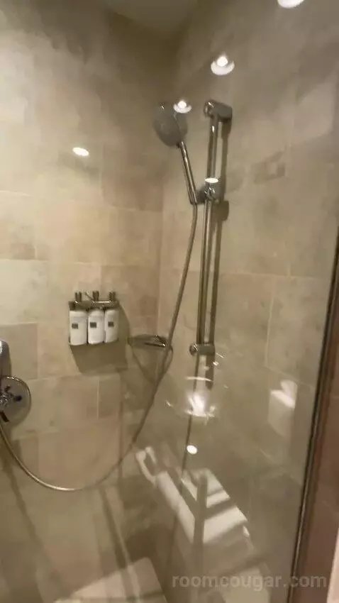 Extra Large Loft bathroom picture #11