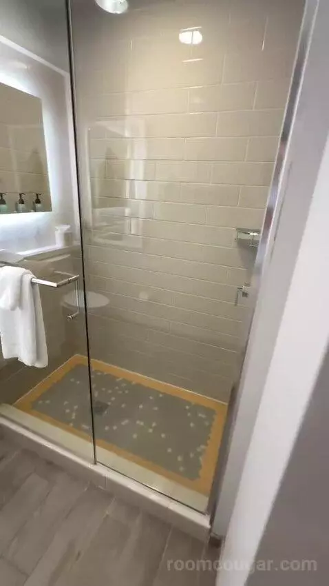Executive King Suite (#301) bathroom picture #5