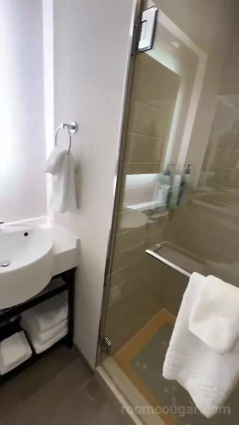 Executive King Suite (#301) bathroom picture #9