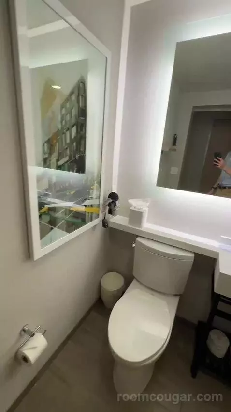 Executive King Suite (#301) bathroom picture #11