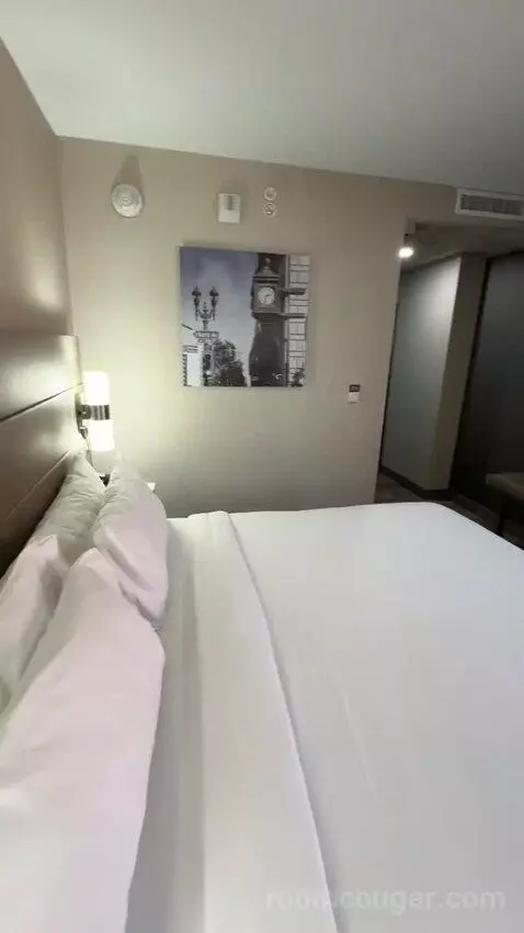 Standard King Room (#719) bed picture #12