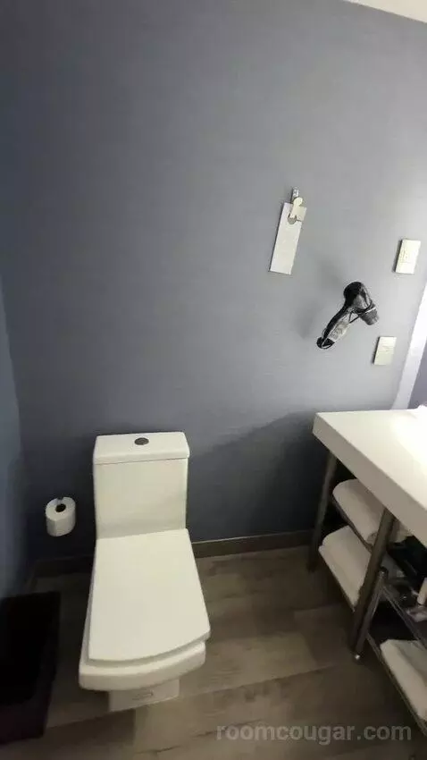 Standard King Room (#719) bathroom picture #9