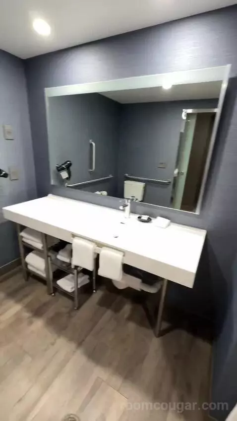 Standard Queen Room with Two Queen Beds bathroom picture #8