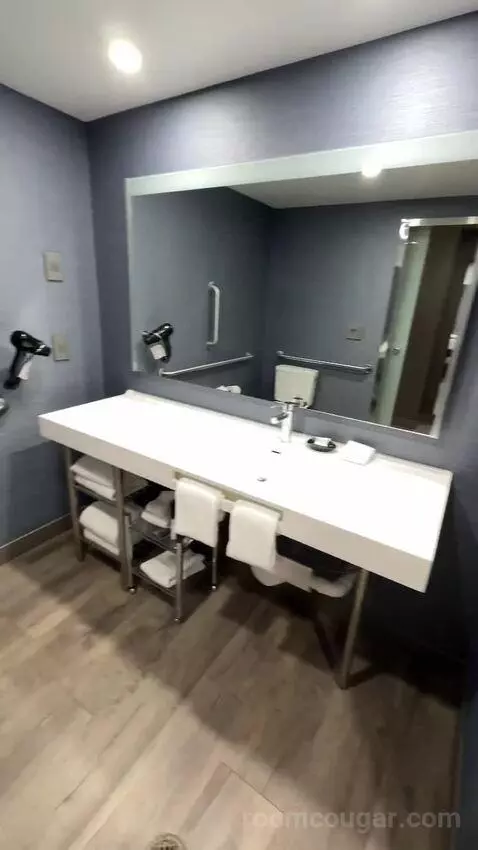 Standard Queen Room with Two Queen Beds bathroom picture #9