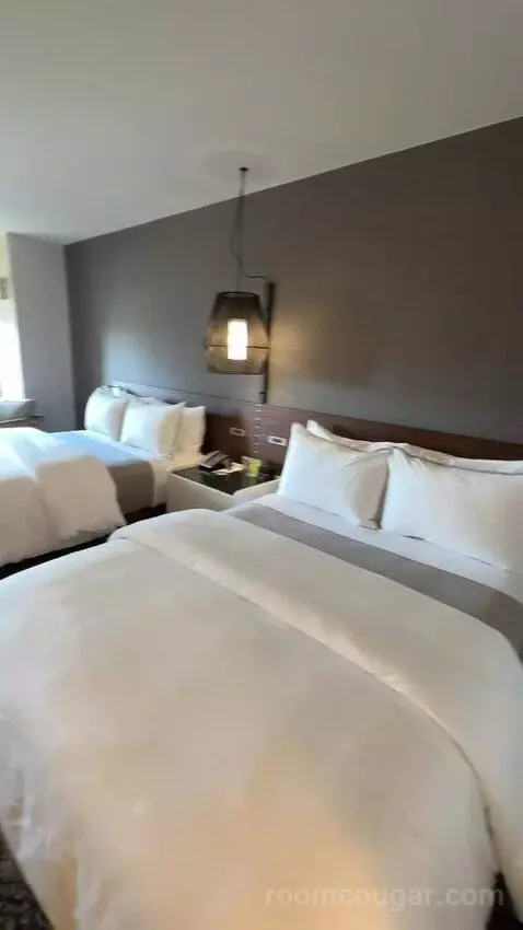 Deluxe, Guest Room, 2 Double, City View, Balcony picture #13