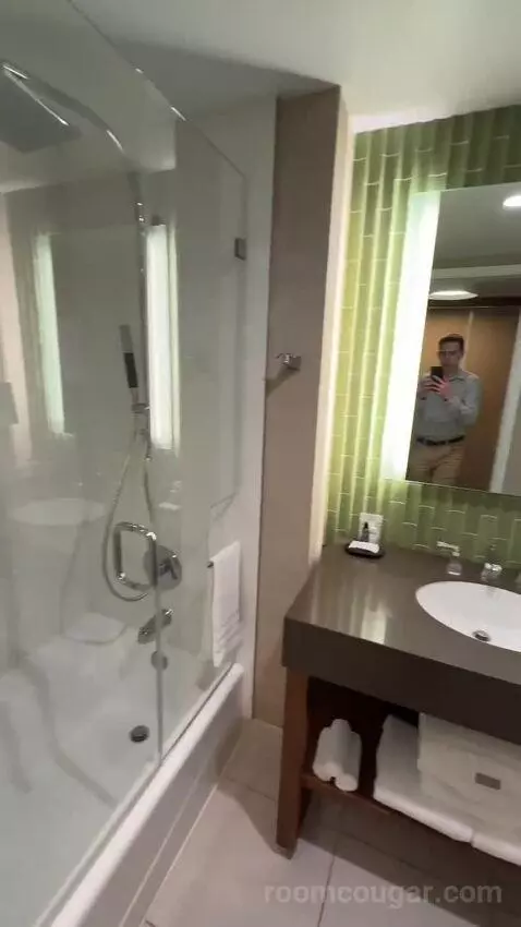Deluxe, Guest Room, 2 Double, City View, Balcony bathroom picture #4