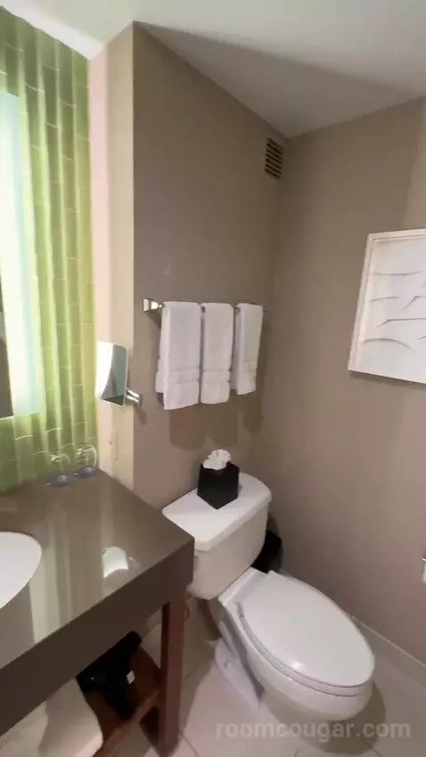 Deluxe, Guest Room, 2 Double, City View, Balcony bathroom picture #7