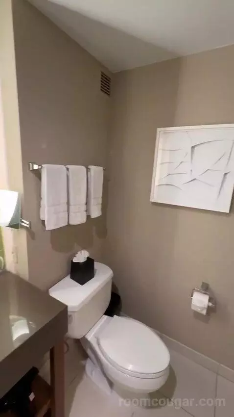 Deluxe, Guest Room, 2 Double, City View, Balcony bathroom picture #9
