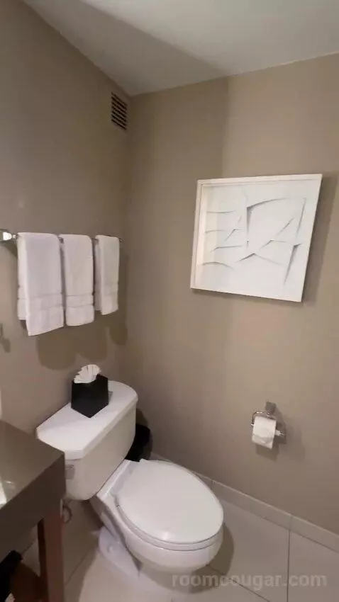 Deluxe, Guest Room, 2 Double, City View, Balcony bathroom picture #10
