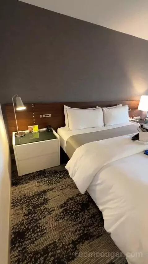 Deluxe Guest Room, 1 King, City View bed picture #2