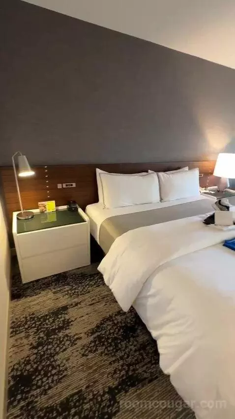 Deluxe Guest Room, 1 King, City View bed picture #3