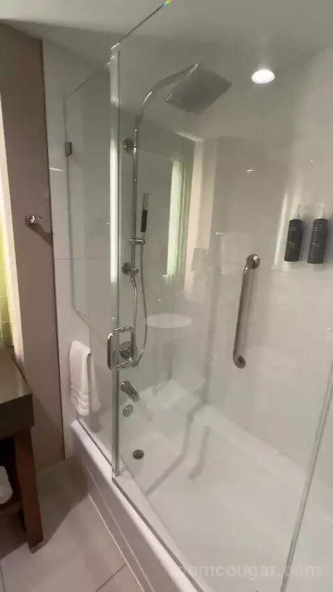 Deluxe Guest Room, 1 King, City View bathroom picture #1