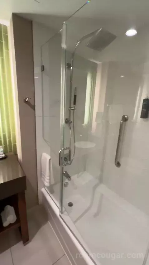 Deluxe Guest Room, 1 King, City View bathroom picture #2