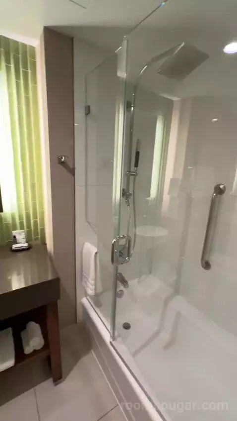 Deluxe Guest Room, 1 King, City View bathroom picture #3