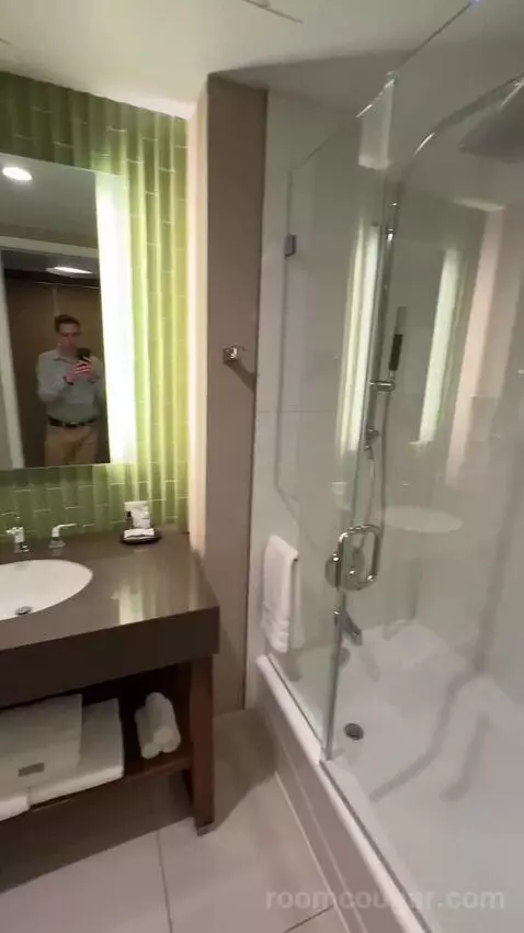 Deluxe Guest Room, 1 King, City View bathroom picture #5