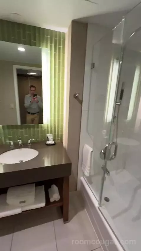 Deluxe Guest Room, 1 King, City View bathroom picture #6