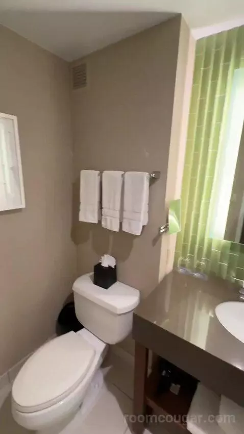 Deluxe Guest Room, 1 King, City View bathroom picture #7