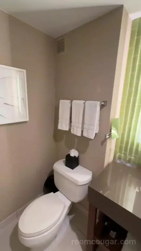 Deluxe Guest Room, 1 King, City View bathroom picture #8