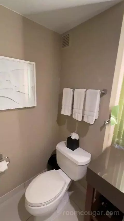 Deluxe Guest Room, 1 King, City View bathroom picture #9