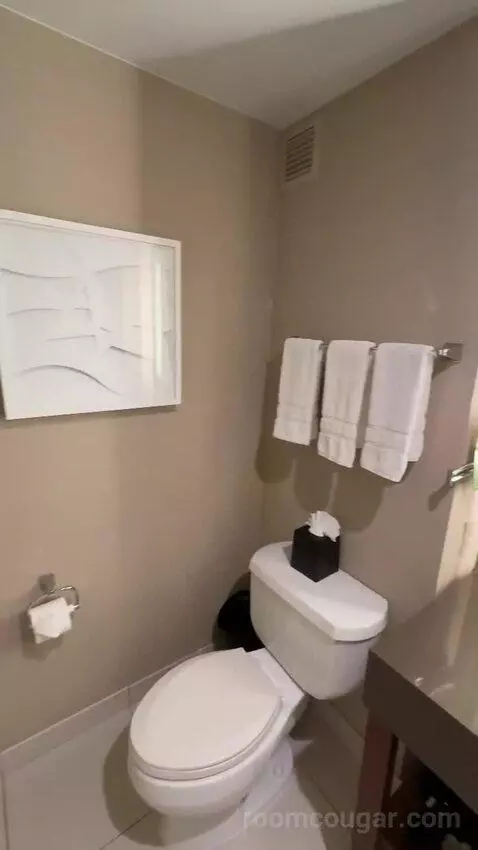 Deluxe Guest Room, 1 King, City View bathroom picture #10