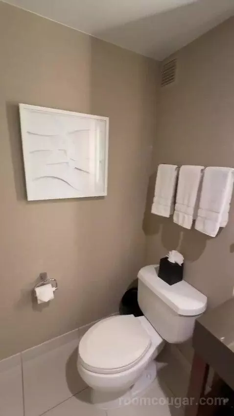 Deluxe Guest Room, 1 King, City View bathroom picture #11
