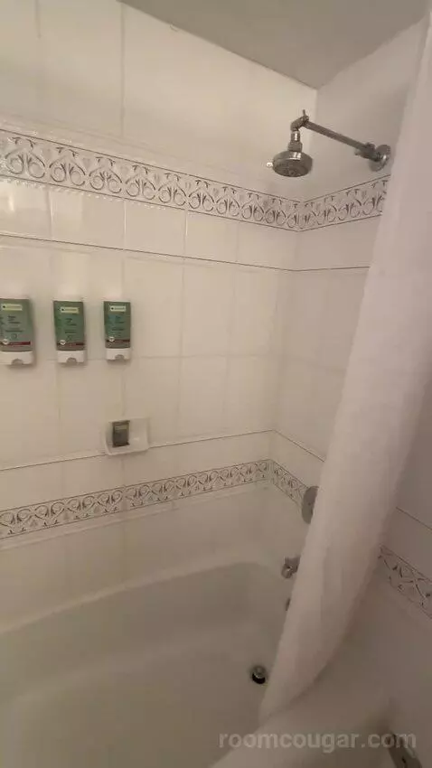 2 Double Beds (#105) bathroom picture #10