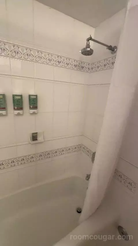 2 Double Beds (#105) bathroom picture #11