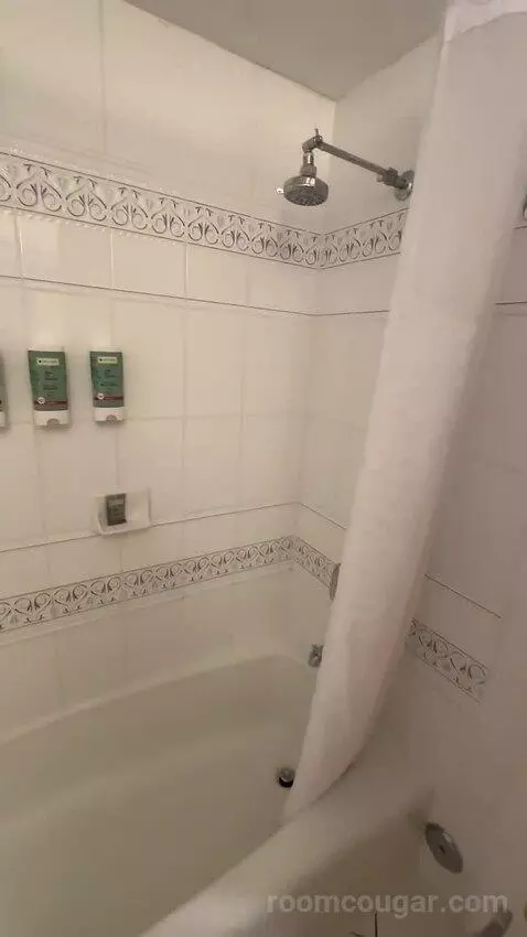 2 Double Beds (#105) bathroom picture #12