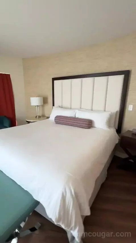 Suite (#1216) bed picture #11