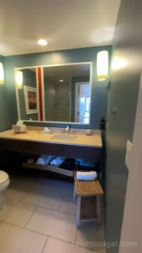 King Room (#921) bathroom picture #3