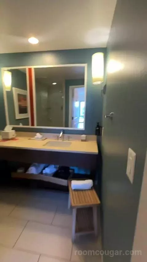 King Room (#921) bathroom picture #4