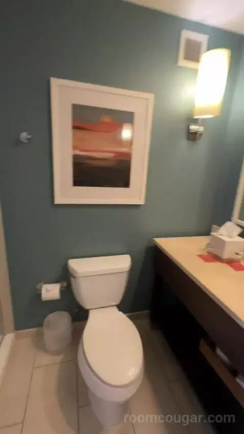 King Room (#921) bathroom picture #5