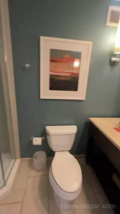 King Room (#921) bathroom picture #6